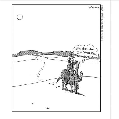 Gary Larson really understands what we horses have to put up with.
www.thefarside.com