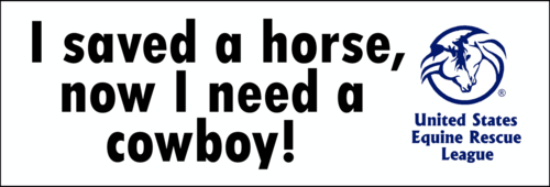 I saved a horse, now I need a cowboy!