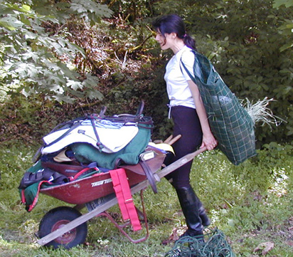 Hillbilly Farms groom