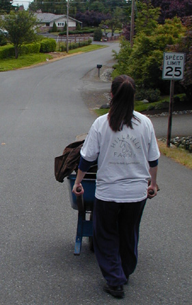 Hillbilly Farms groom