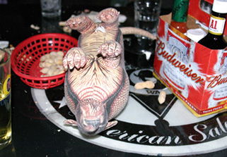 passed out armadillo