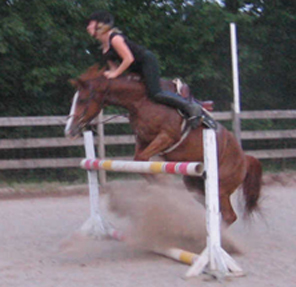 Only the rider is going to clear this fence