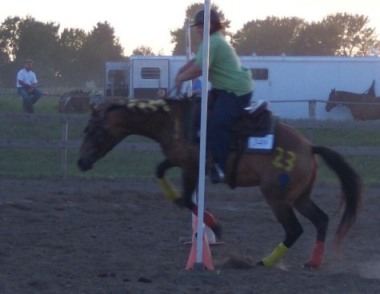 I love the guy sitting on the fence in the background