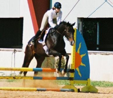 And down the stretch they come!