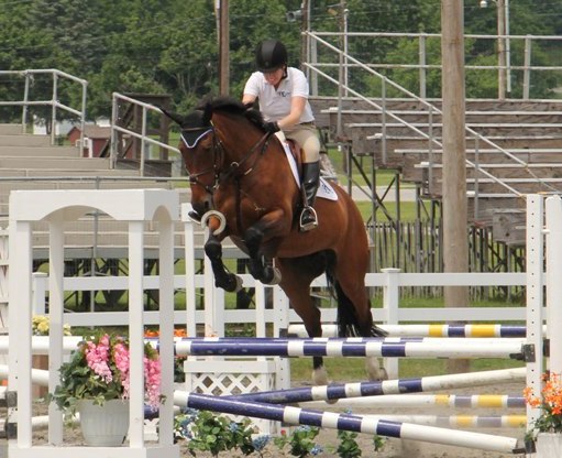 Watch out of flying horseshoes