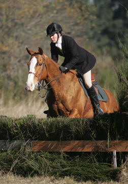 Trying to look good for the photographer.