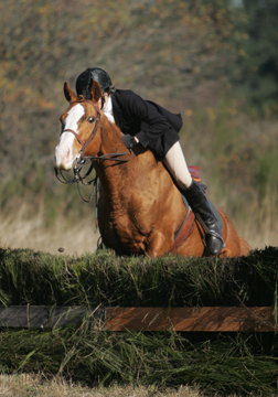 Is the horse looking at the photographer?