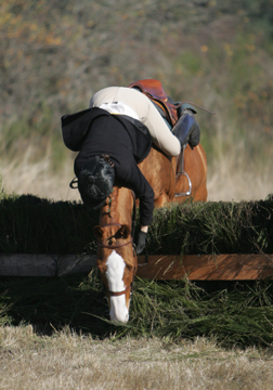 What kind of release would you call this?