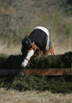 I am so far up his neck, I am squishing his ears.