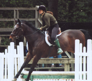 correct horse show turnout